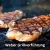 Weber Grillvorführung live grilling demonstration with expert chef