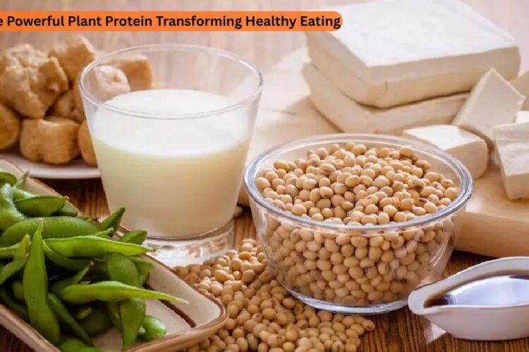 Insoya healthy plant based protein source